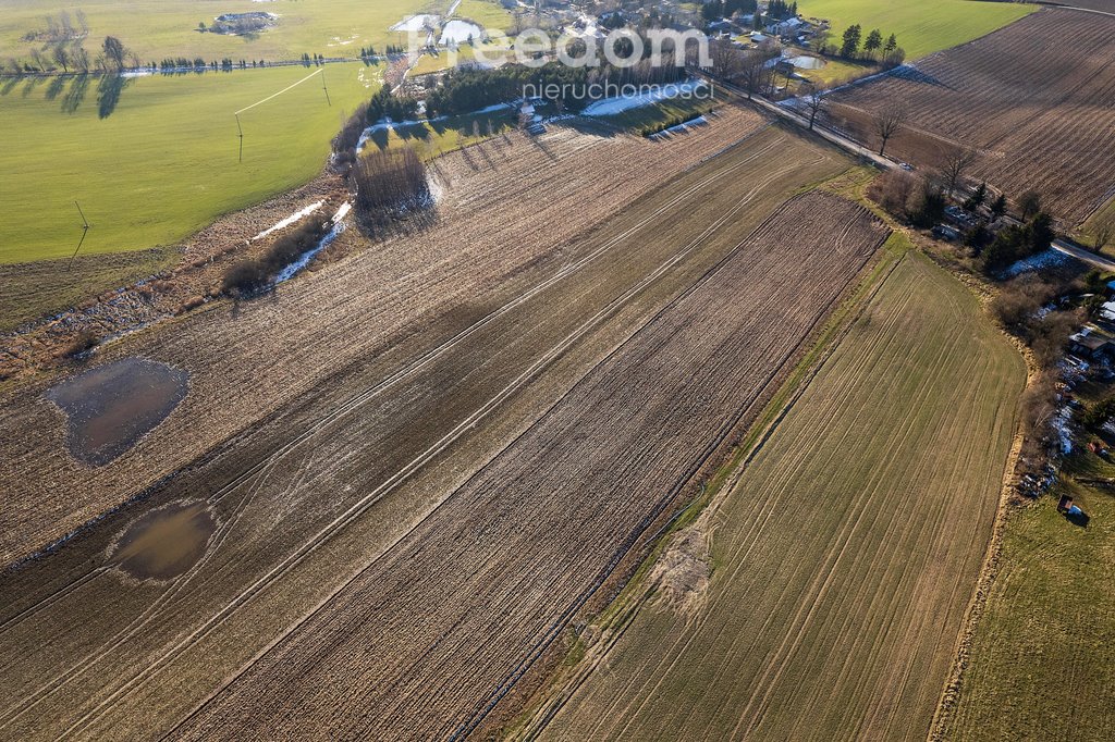 Działka siedliskowa na sprzedaż Starzykowo  3 000m2 Foto 14