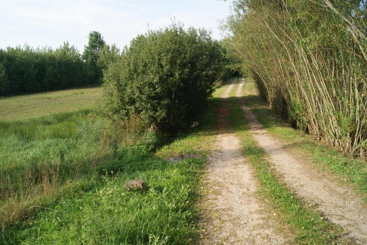 Działka rolna na sprzedaż Szymanowo  1 587m2 Foto 5