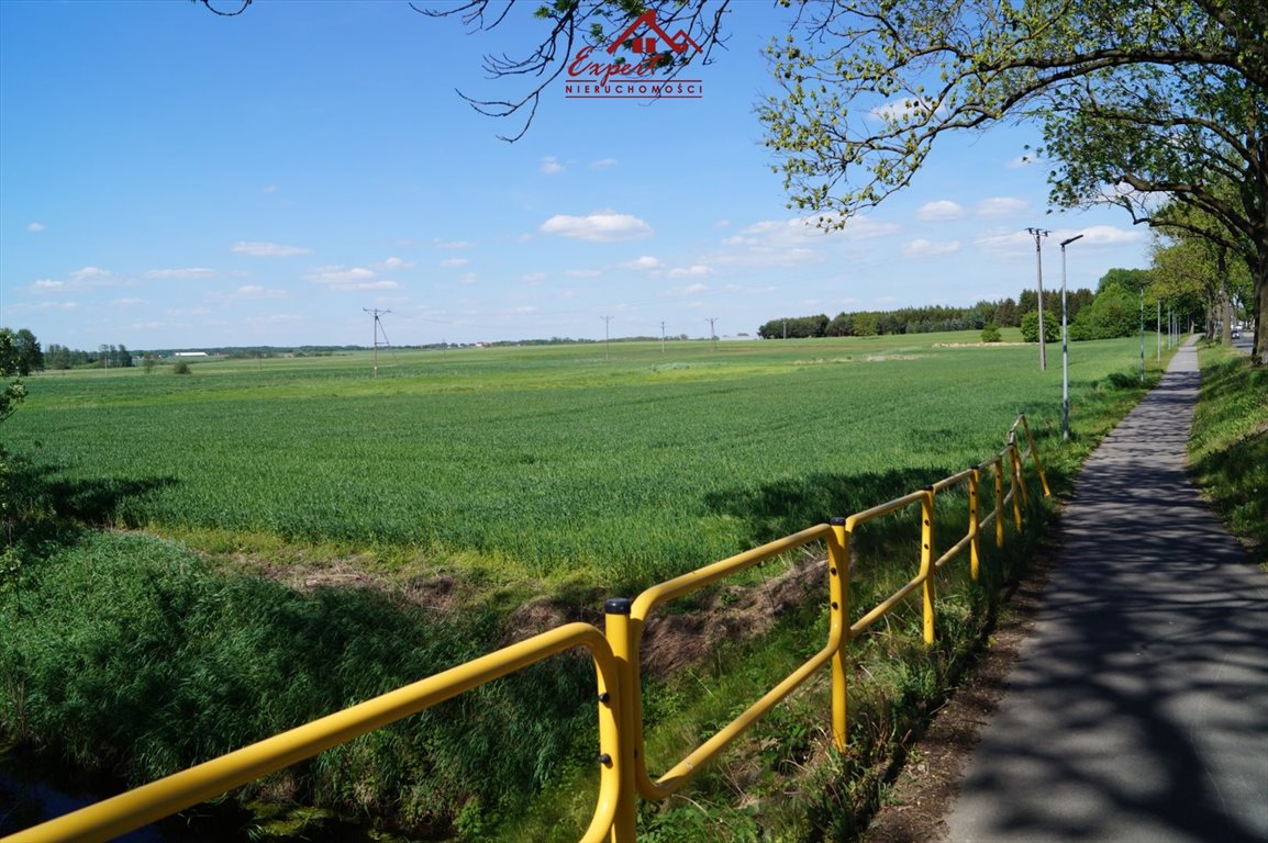 Działka budowlana na sprzedaż Kamień Duży  21 500m2 Foto 5