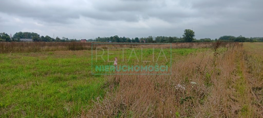 Działka budowlana na sprzedaż Kosów  1 036m2 Foto 8