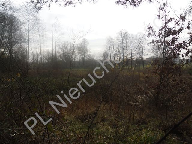 Działka leśna na sprzedaż Goździówka  3 692m2 Foto 7