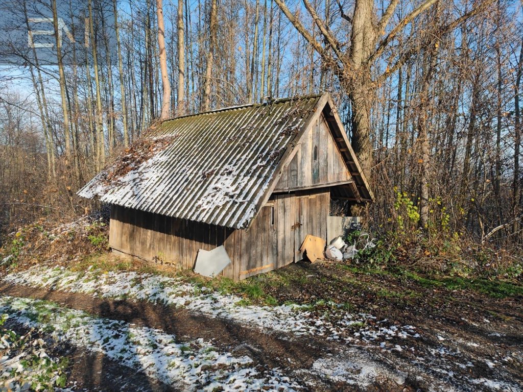 Działka budowlana na sprzedaż Babica  6 000m2 Foto 6