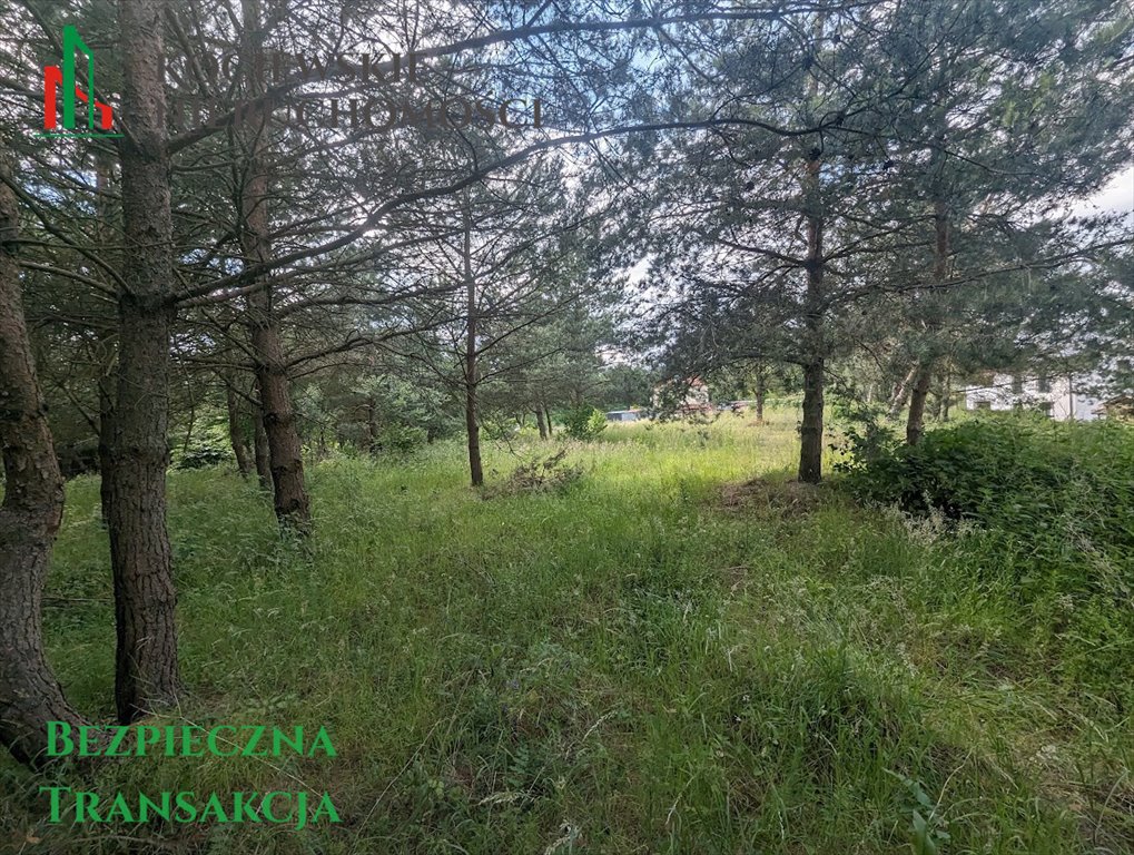 Działka budowlana na sprzedaż Kolincz  1 579m2 Foto 4