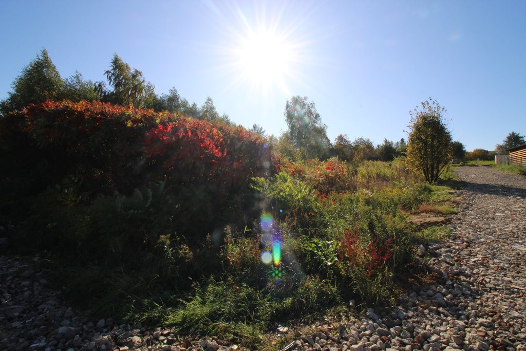 Działka inna na sprzedaż Rzeszów 1 313m2 Foto 1 Działka inna na sprzedaż Rzeszów 1 313m2 Foto 1