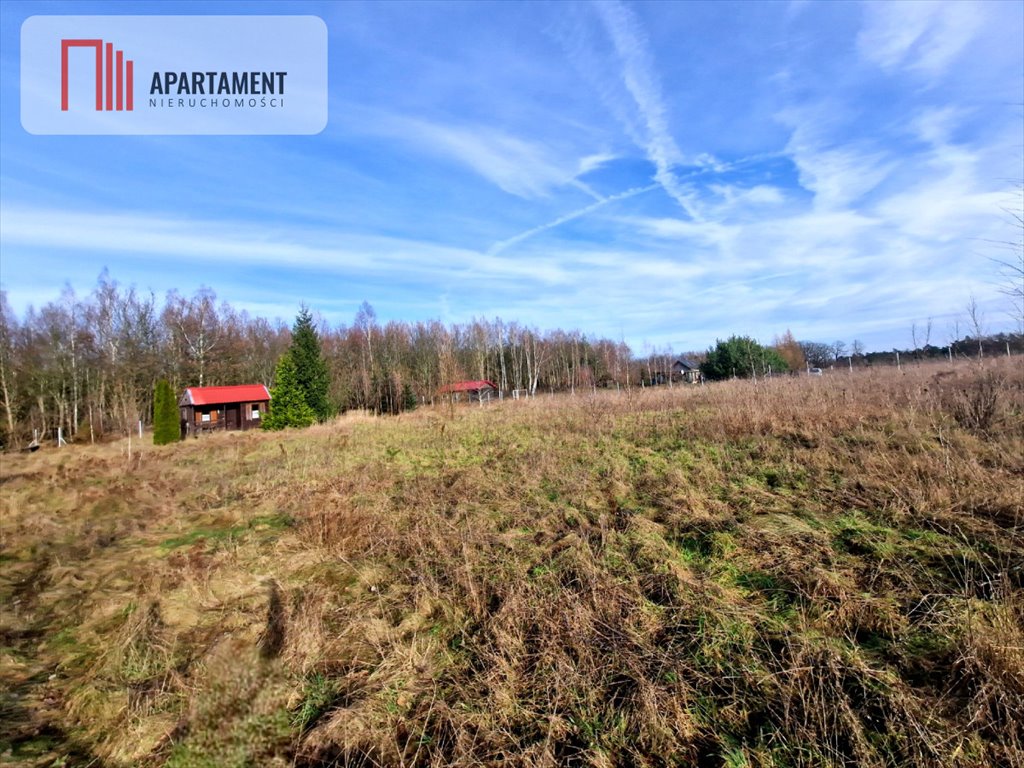Działka 3000m² z lasem, media, spokojna okolica Klawkowo  3 000m2 Foto 1