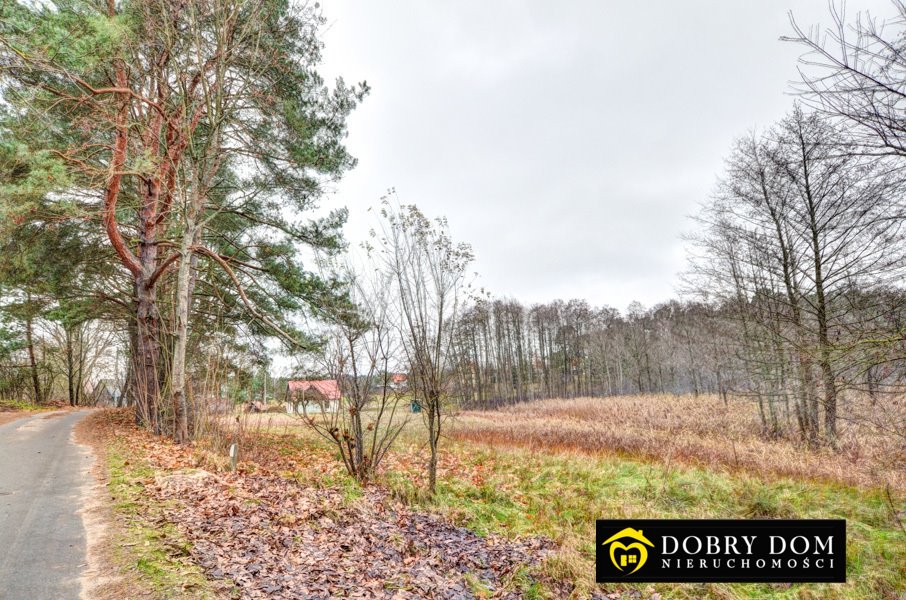 Działka budowlana na sprzedaż Augustów, Wojciech  7 000m2 Foto 10