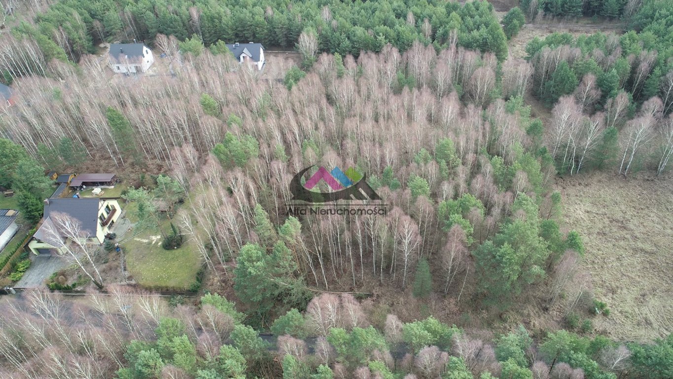 Działka budowlana na sprzedaż Skórka  764m2 Foto 5