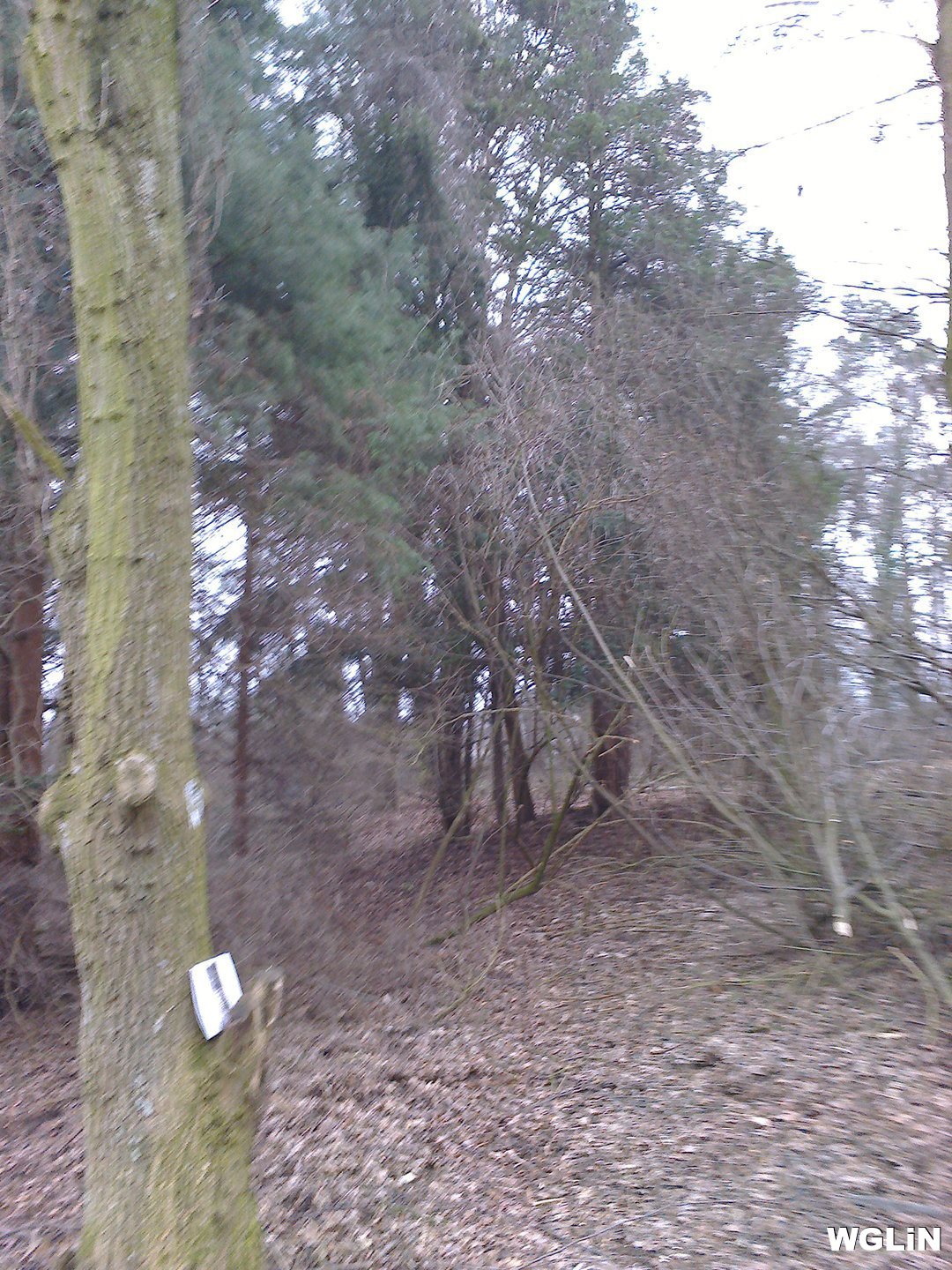 Działka budowlana na sprzedaż Kazimierz Dolny, 800m od Rynku w Kazimierzu Dolnym 28 376m2 Foto 1 Działka budowlana na sprzedaż Kazimierz Dolny, 800m od Rynku w Kazimierzu Dolnym 28 376m2 Foto 1