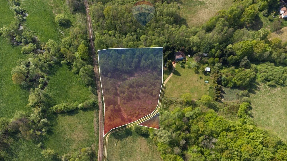 Działka rolna 8 453 m² z lasem, dojazd utwardzony Barwałd Średni  8 453m2 Foto 1