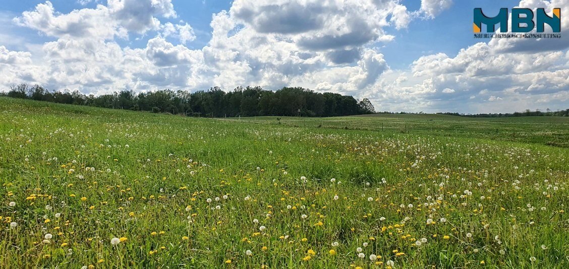 Działka inwestycyjna na sprzedaż Doba, Doba  35 031m2 Foto 15