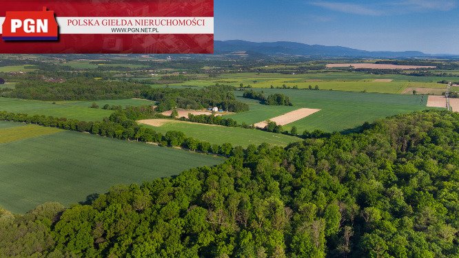 Działka budowlana na sprzedaż Bystrzyca Kłodzka  32 600m2 Foto 3