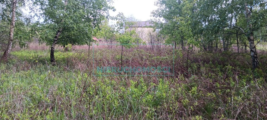 Działka budowlana na sprzedaż Międzyborów  1 500m2 Foto 1