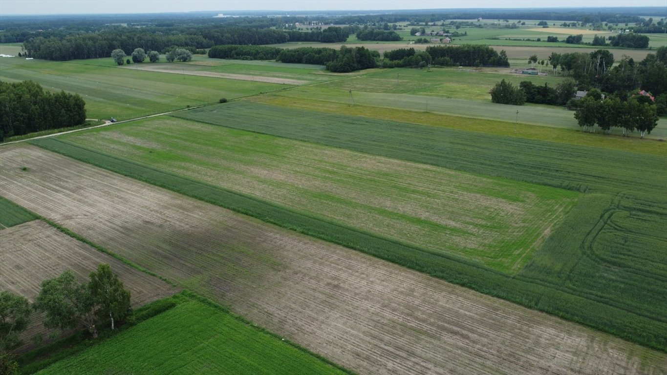 Działka rolna na sprzedaż Milewo  14 238m2 Foto 4