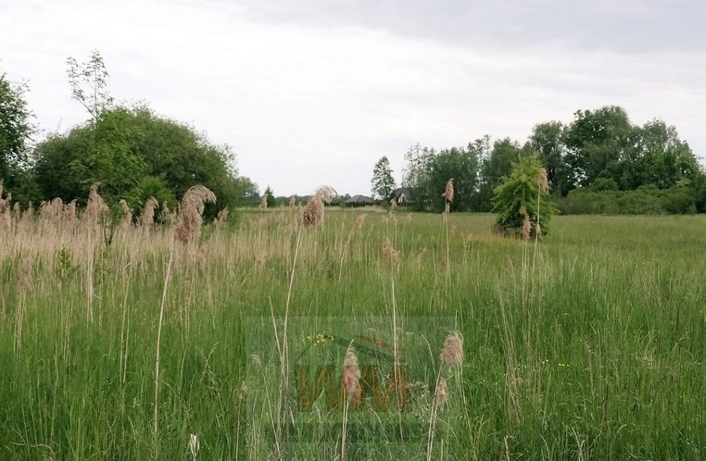 Działka siedliskowa na sprzedaż Jasieniec  30 900m2 Foto 14