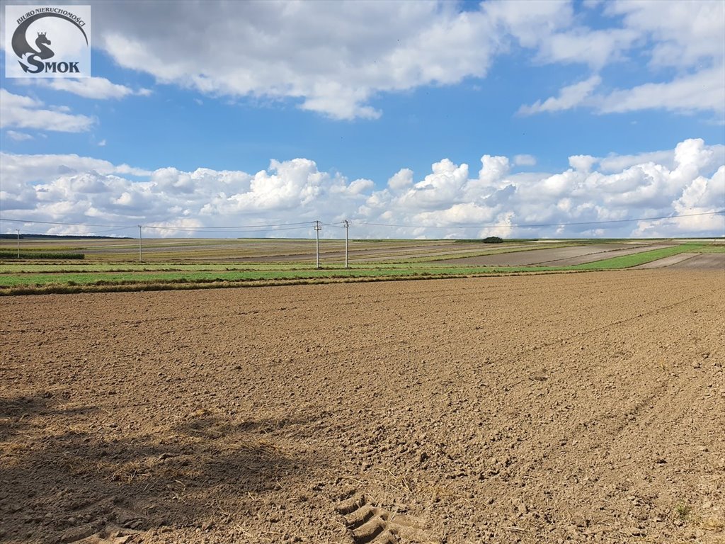 Działka budowlana na sprzedaż Czaple Małe  3 000m2 Foto 2