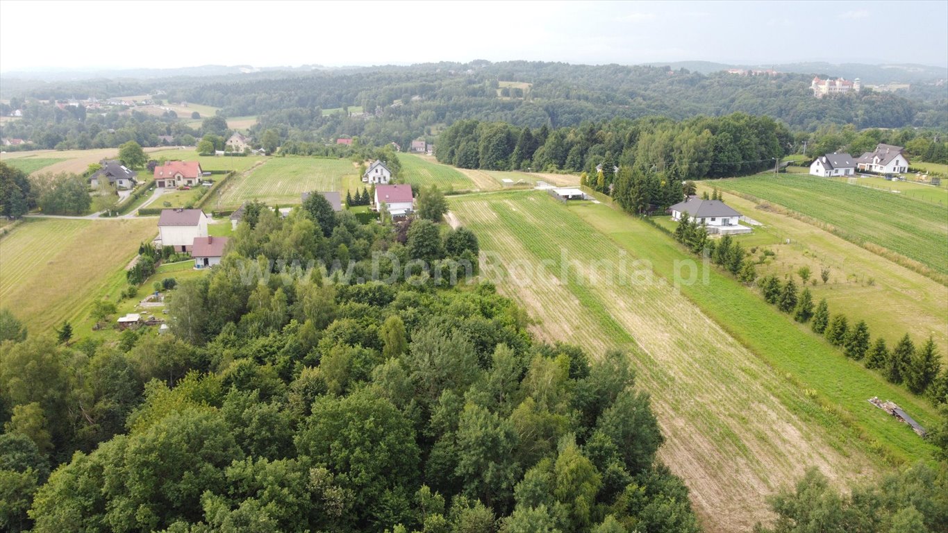 Działka budowlana na sprzedaż Stary Wiśnicz  9 600m2 Foto 8