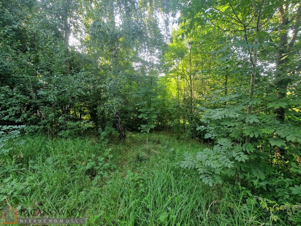 Działka budowlana na sprzedaż Brzozówka Korzkiewska  1 327m2 Foto 2