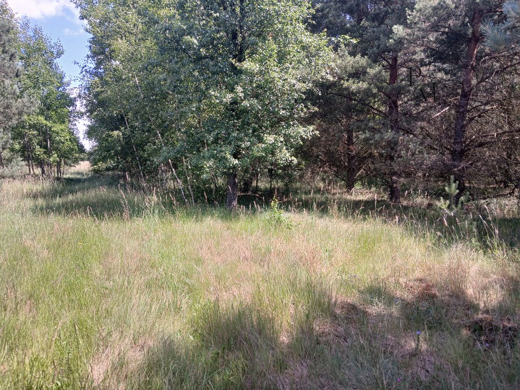 Działka budowlana na sprzedaż Iwno  22 800m2 Foto 2