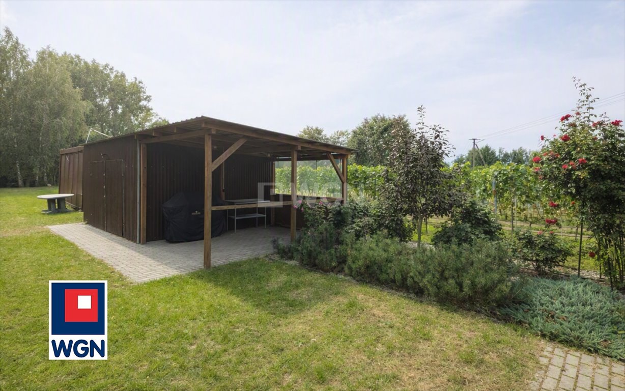 Do sprzedania działka z winnicą 2702 m² nad Jeziorem Wilczyńskim Wilczyn, Jezioro Wilczyńskie, Świętne  2 702m2 Foto 1