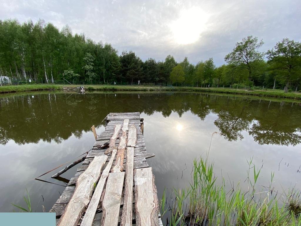 Działka budowlana na sprzedaż Sromutka  17 000m2 Foto 5