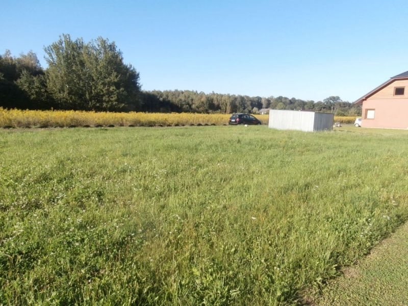 Działka budowlana na sprzedaż Uszczyn, Poniatów, Piotrków Trybunalski 785m2 Foto 1 Działka budowlana na sprzedaż Uszczyn, Poniatów, Piotrków Trybunalski 785m2 Foto 1
