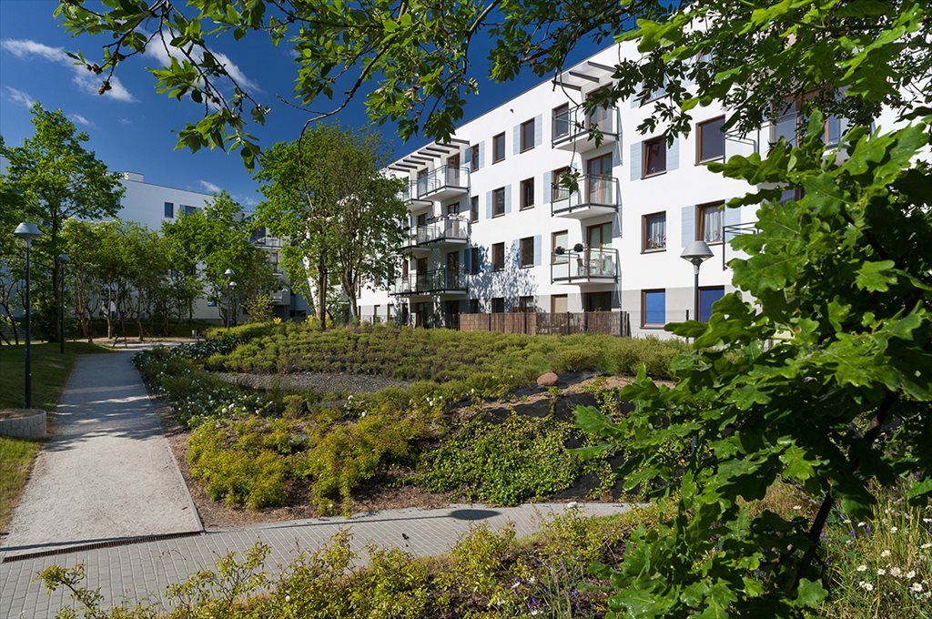 Wolne Miasto III Etap Gdańsk, Ujeścisko - Łostowice, Cedrowa 27  Foto 1