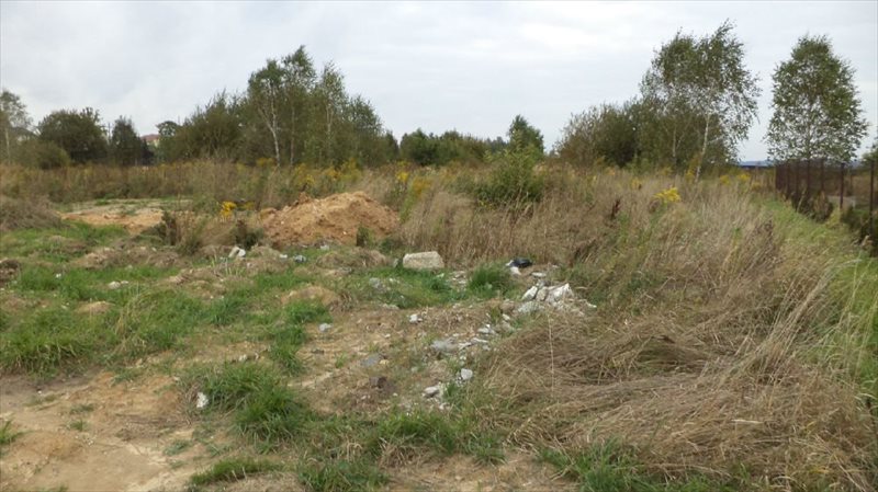 Działka budowlana na sprzedaż Cedzyna 1 039m2 Foto 1 Działka budowlana na sprzedaż Cedzyna 1 039m2 Foto 1
