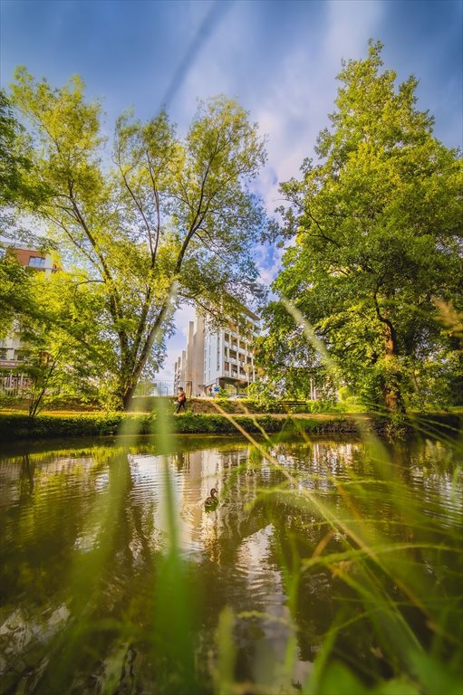 mieszkanie na sprzedaż 53m2 mieszkanie Rzeszów, Paderewskiego 51