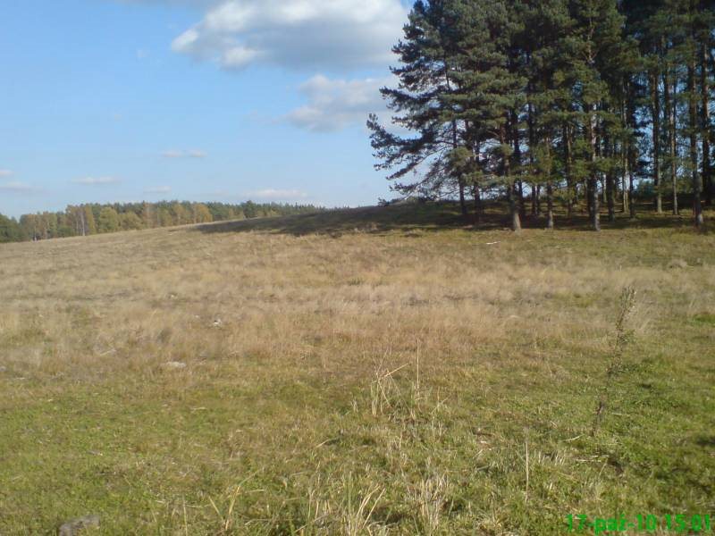 Urokliwa działka budowlana z warunkami zabudowy, las i jezioro Wołowe Lasy N/Notecią  1 500m2 Foto 1