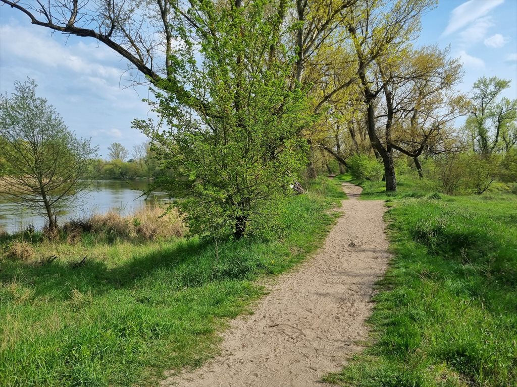 Zielona Przystań nad Wartą Luboń, ul. Kajakowa 9 i 11  Foto 8