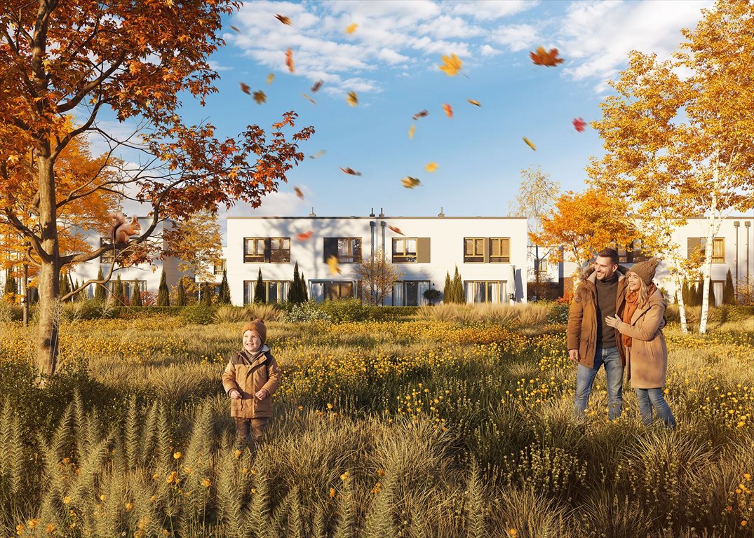 dom na sprzedaż 62m2 dom Boryszew, Nadziei