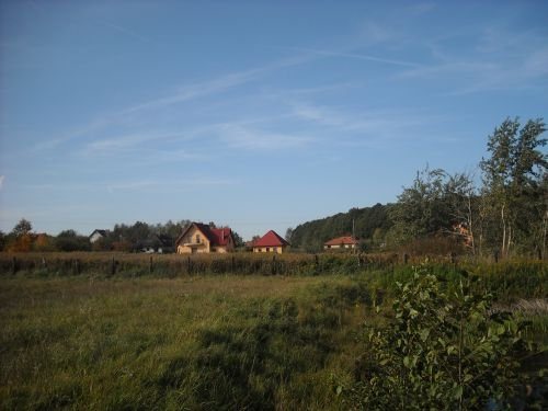 Działka budowlana na sprzedaż Oborniki Śląskie, Siemianice 5 000m2 Foto 1 Działka budowlana na sprzedaż Oborniki Śląskie, Siemianice 5 000m2 Foto 1