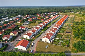 Nowe Złotniki Złotniki, Azaliowa/Pigwowa Foto 7