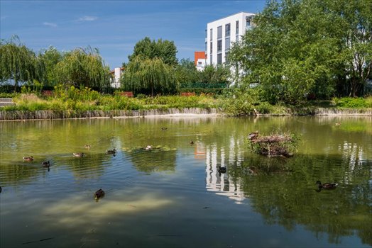 Villa Prestige Kabaty Warszawa, Kabaty, Stryjeńskich/Wełniana Foto 3