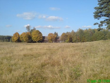 Działka budowlana na sprzedaż Wołowe Lasy N/Notecią, gm. Człopa 1 500m2 Foto 2
