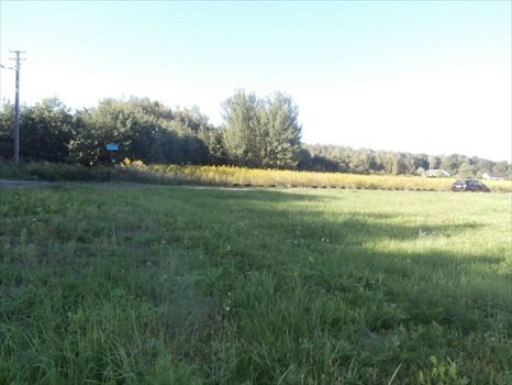 Działka budowlana na sprzedaż Uszczyn, Poniatów, Piotrków Trybunalski 785m2 Foto 3