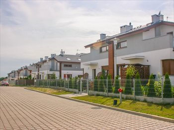 Lubczykowa Góra Poznań, Arnikowa Foto 5