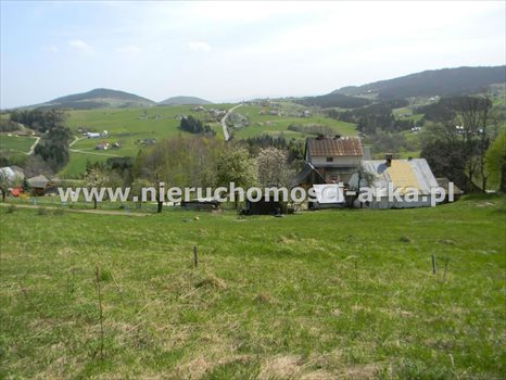 Działka rolna na sprzedaż Stara Wieś 12 900m2 Foto 2