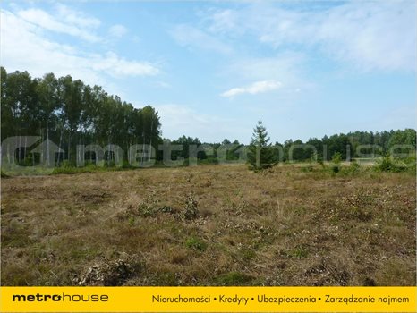 Działka inna na sprzedaż Stękiny, Jonkowo 25 000m2 Foto 2