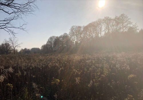 Działka budowlana na sprzedaż Grodzisk Mazowiecki, Słowackiego 3 009m2 Foto 3