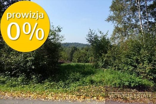 Działka budowlana na sprzedaż Włosań 2 600m2 Foto 5