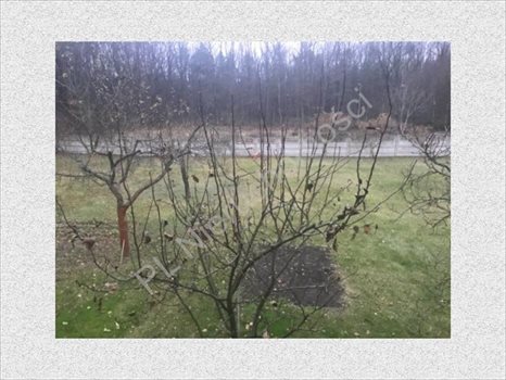 Działka budowlana na sprzedaż Otrębusy 1 200m2 Foto 3
