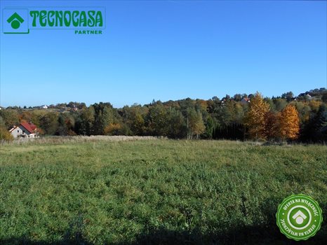 Działka budowlana na sprzedaż Lednica Górna 802m2 Foto 4
