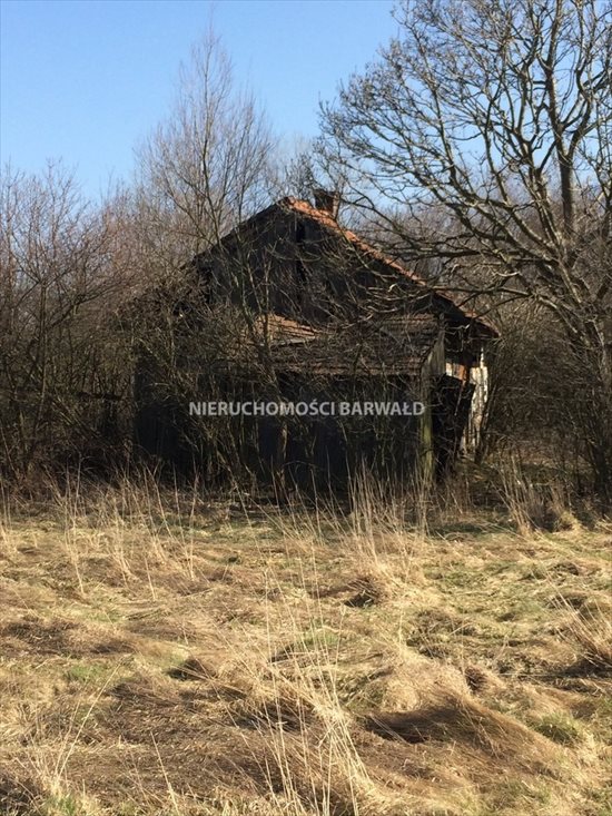 Działka inna na sprzedaż Kalwaria Zebrzydowska 9 600m2 Foto 4