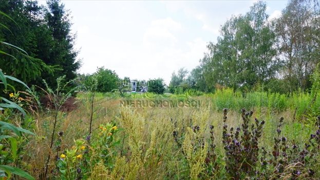 Działka budowlana na sprzedaż Kobylnica, Dolinowa 1 256m2 Foto 3
