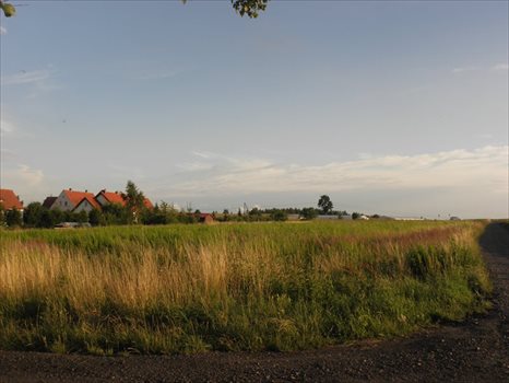 Działka budowlana na sprzedaż Pisarzowice 4 100m2 Foto 5