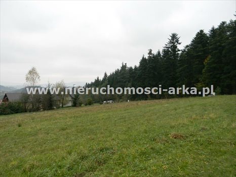 Działka inna na sprzedaż Limanowa 2 200m2 Foto 1