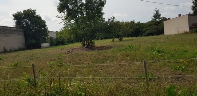 Działka budowlana na sprzedaż Augustów, Rajgrodzka 1 705m2 Foto 2