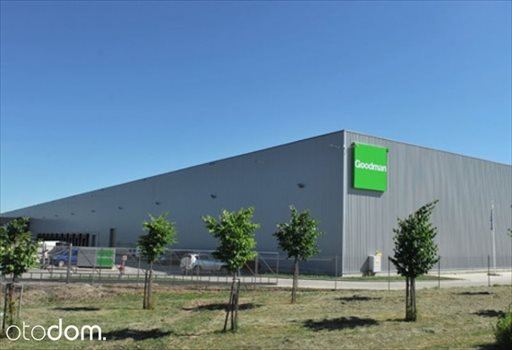 Lokal użytkowy na wynajem Zgorzelec 30 250m2 Foto 3