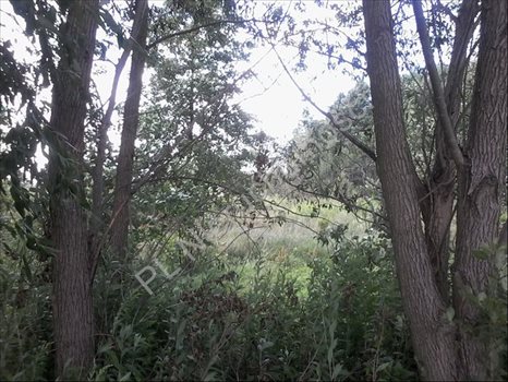 Działka budowlana na sprzedaż Otwock, Wólka Mlądzka 1 260m2 Foto 3